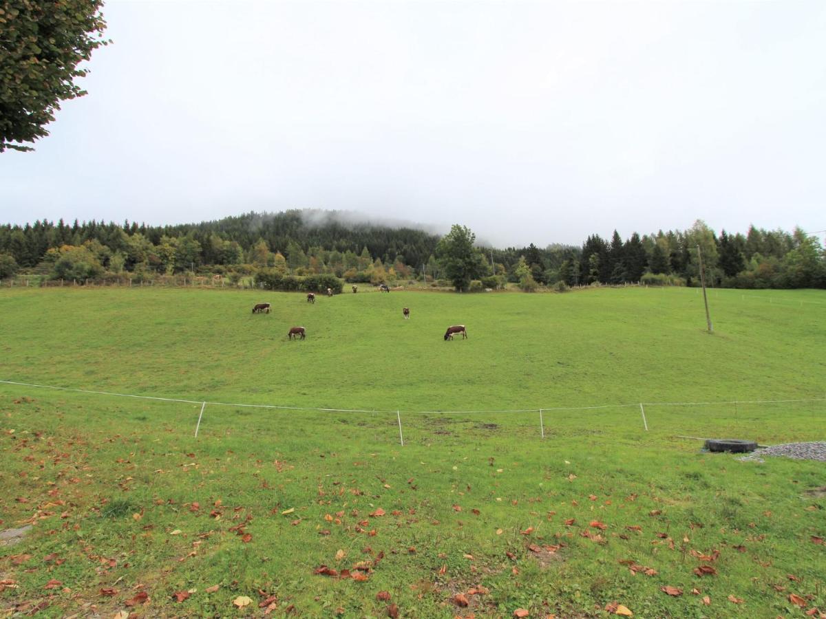 Beautiful Holiday Apartment In A Renovated Farmhouse In Fresach Carinthia Exteriör bild